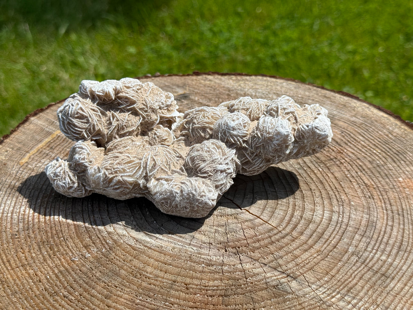 Desert Rose Selenite šµ