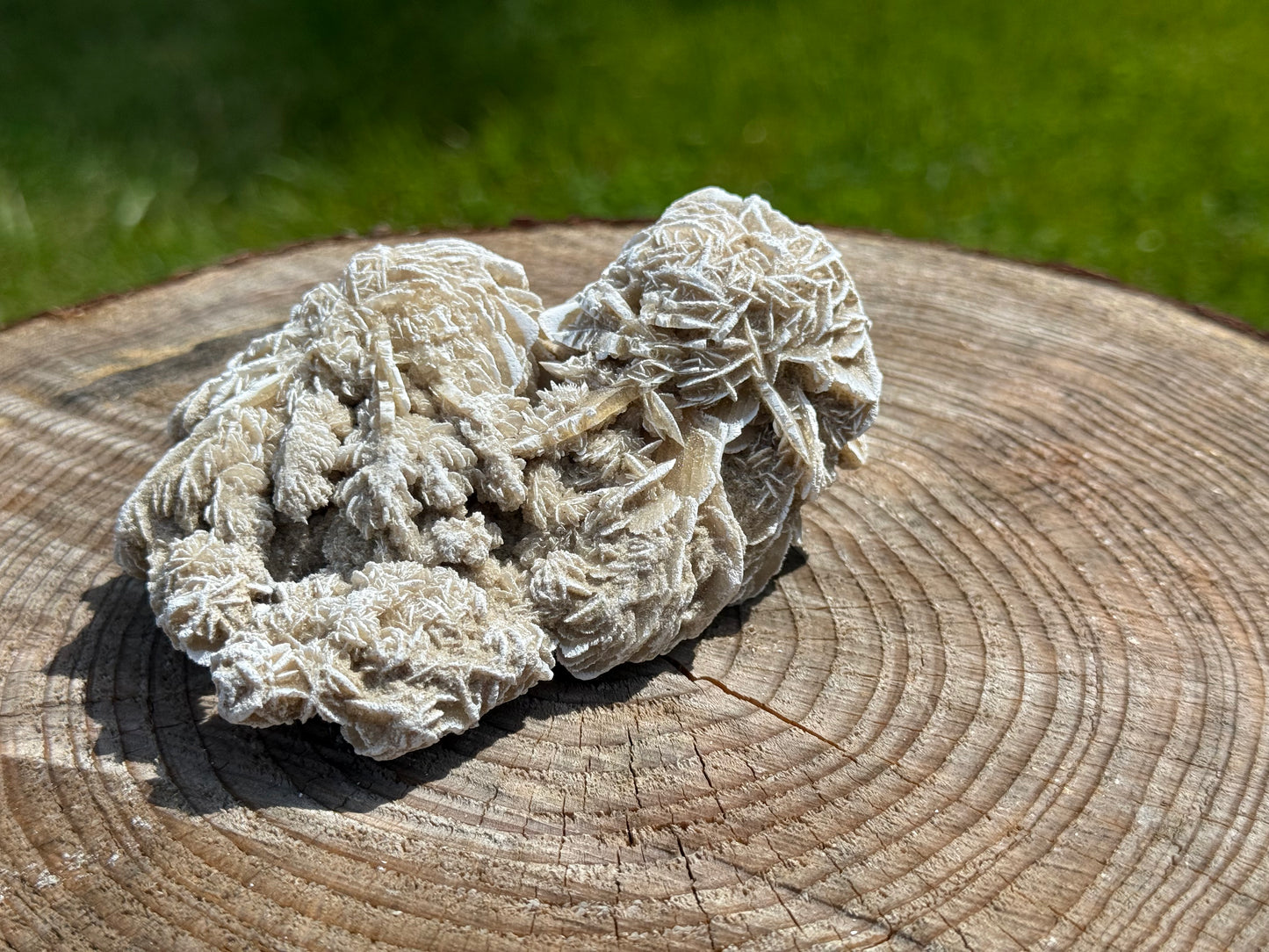 Desert Rose Selenite šµ