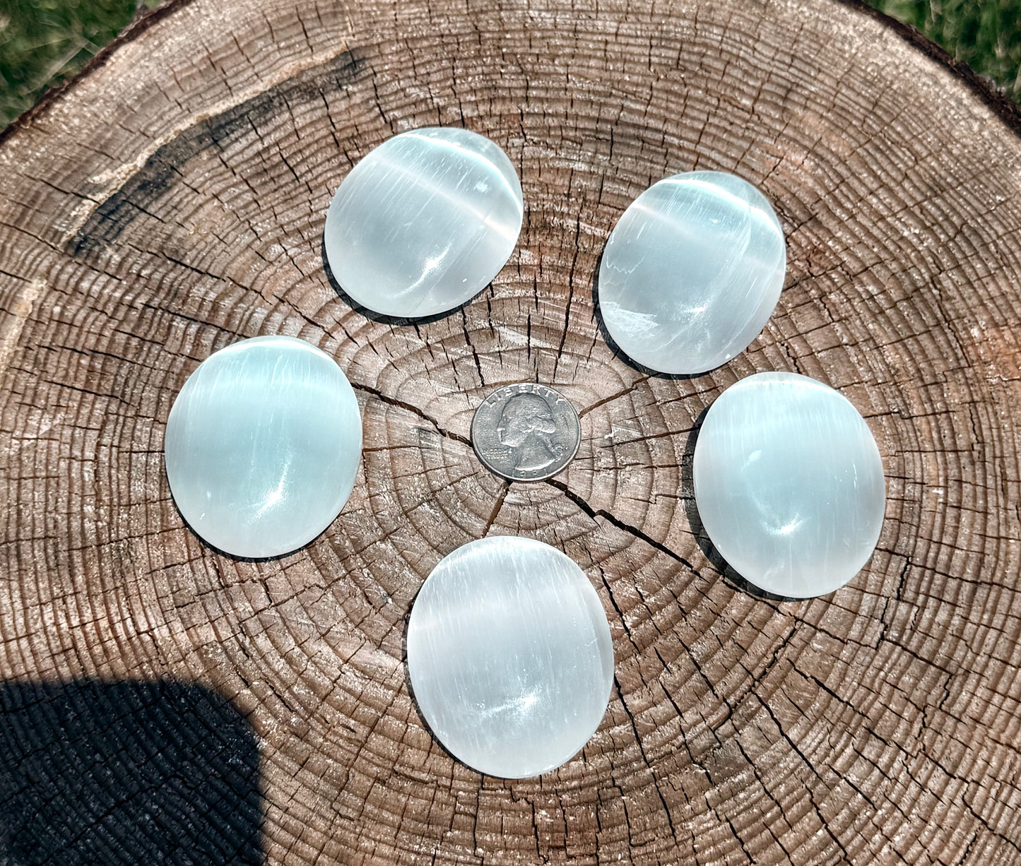 Selenite Palm Stone | Peace • Clarity • Cleansing