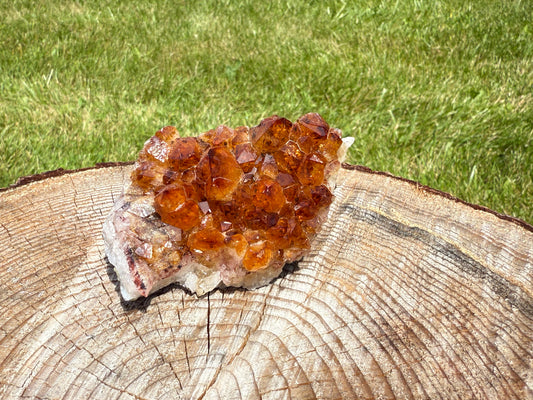 Natural Citrine Cluster ✨ | 147.9g | Brazil